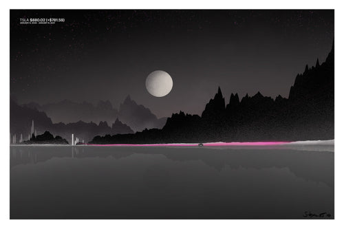 Tesla 2020 stock chart drawn as a landscape, art print.